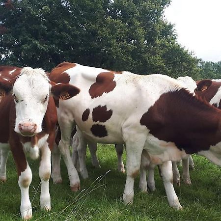 Gite A La Ferme, Avec Animaux, Fromages Et Nature Neuville-les-Decize المظهر الخارجي الصورة
