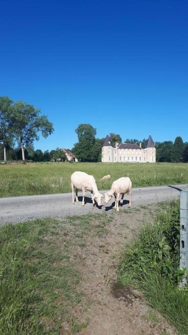 Gite A La Ferme, Avec Animaux, Fromages Et Nature Neuville-les-Decize المظهر الخارجي الصورة