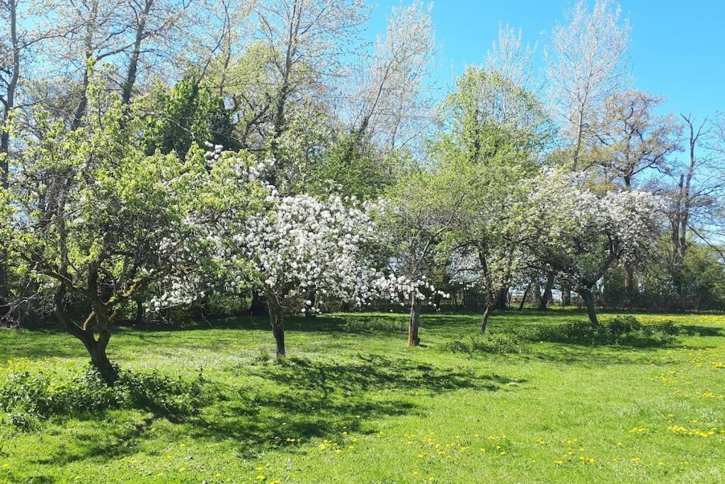 Gite A La Ferme, Avec Animaux, Fromages Et Nature Neuville-les-Decize المظهر الخارجي الصورة